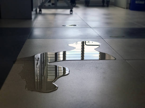 Best Water damage cleanup near me  in Chigan Center, MI