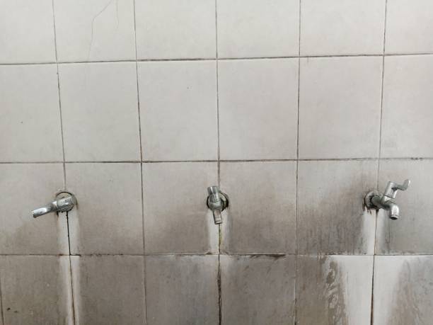 Best Professional water damage repair  in Chigan Center, MI