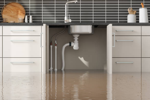 Best Basement water damage restoration  in Chigan Center, MI